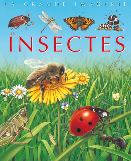 La grande imagerie : Les Insectes