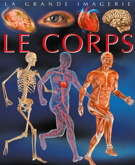 La grande imagerie : Le Corps
