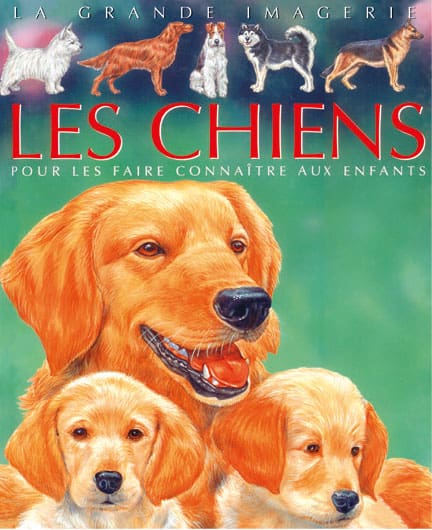 La grande imagerie : Les Chiens