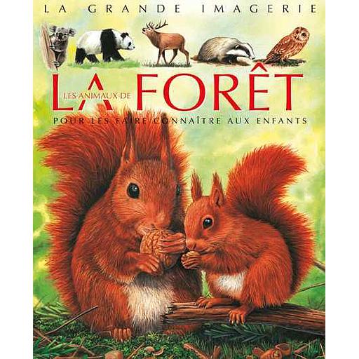 La grande imagerie : La Forêt