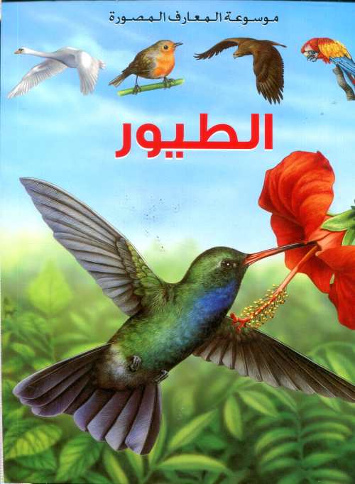 الطيور