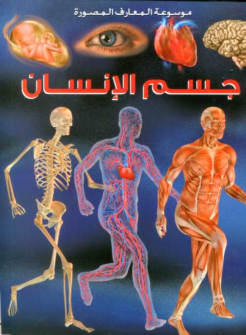 جسم الإنسان