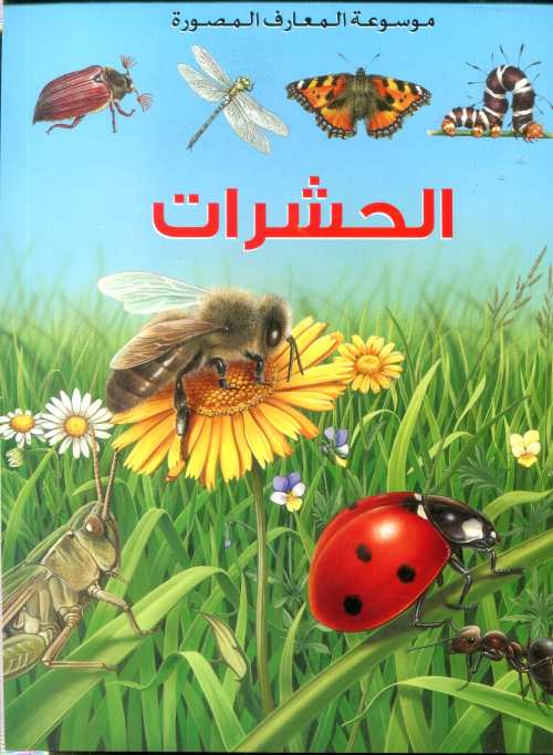 الحشرات