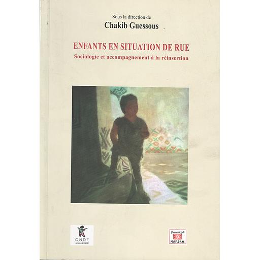 Enfants en situation de rue, Sociologie et accompagnement à la réinsertion