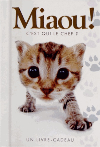 Miaou