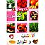 الموسوعة المصورة الأعشاب والتوابل ورق