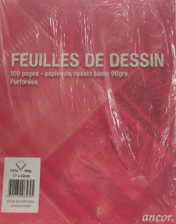 Feuille de dessin 17x22 100 Pages