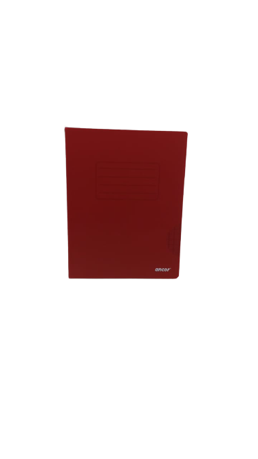Cahier Piqué Polypro 17 x 22 96P 90G