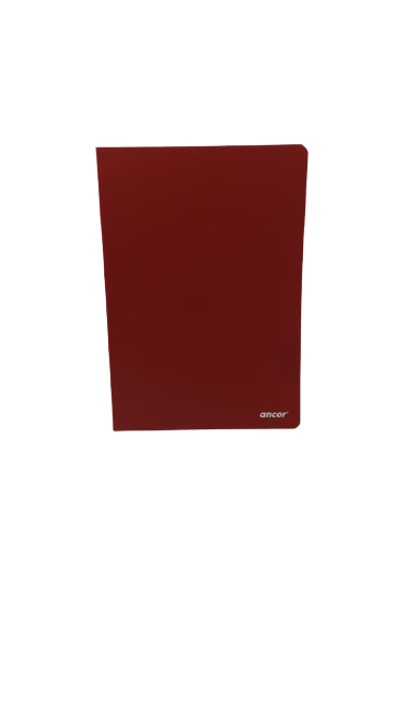 Cahier Piqué Simple 21x29.7 96P Séyès 90G