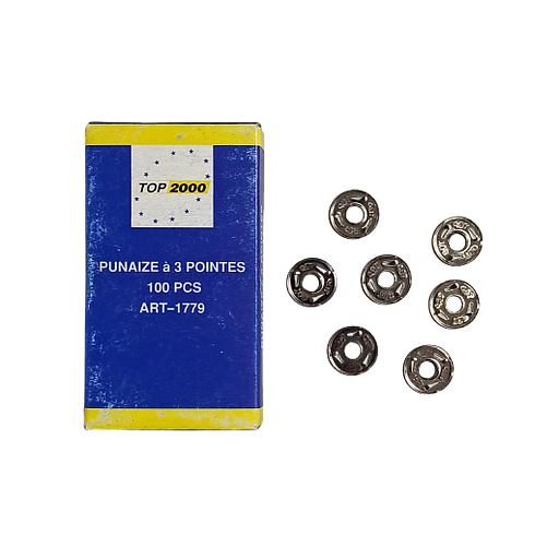 Punaises TOP 2000  - 3 Téte - Métal - 100 pcs - Argenté