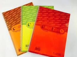 Cahier Spiral 70 Gr 21*29.7 5*5 300 Pages