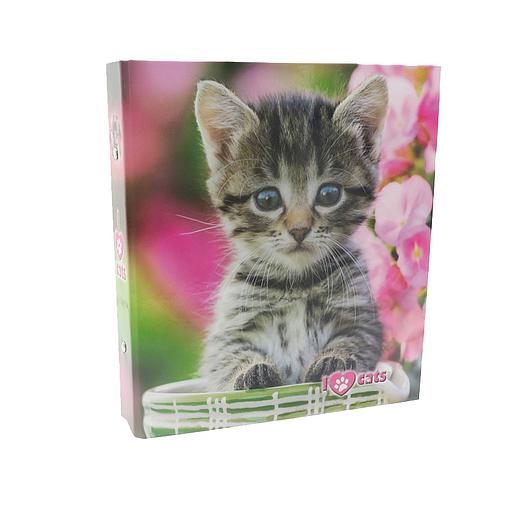 Classeur A5 4 Anneaux Fantaisie ASS