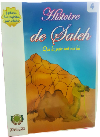 Histoire de Saleh