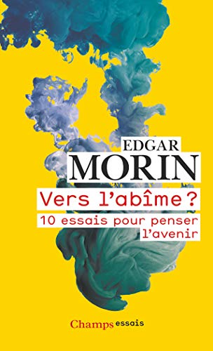 Vers l'abîme ? : 10 essais pour penser l'avenir