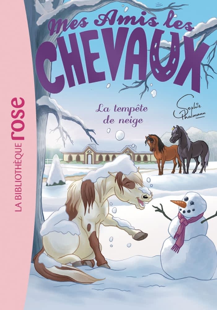 Mes amis les chevaux Tome 25 - La tempête de neige