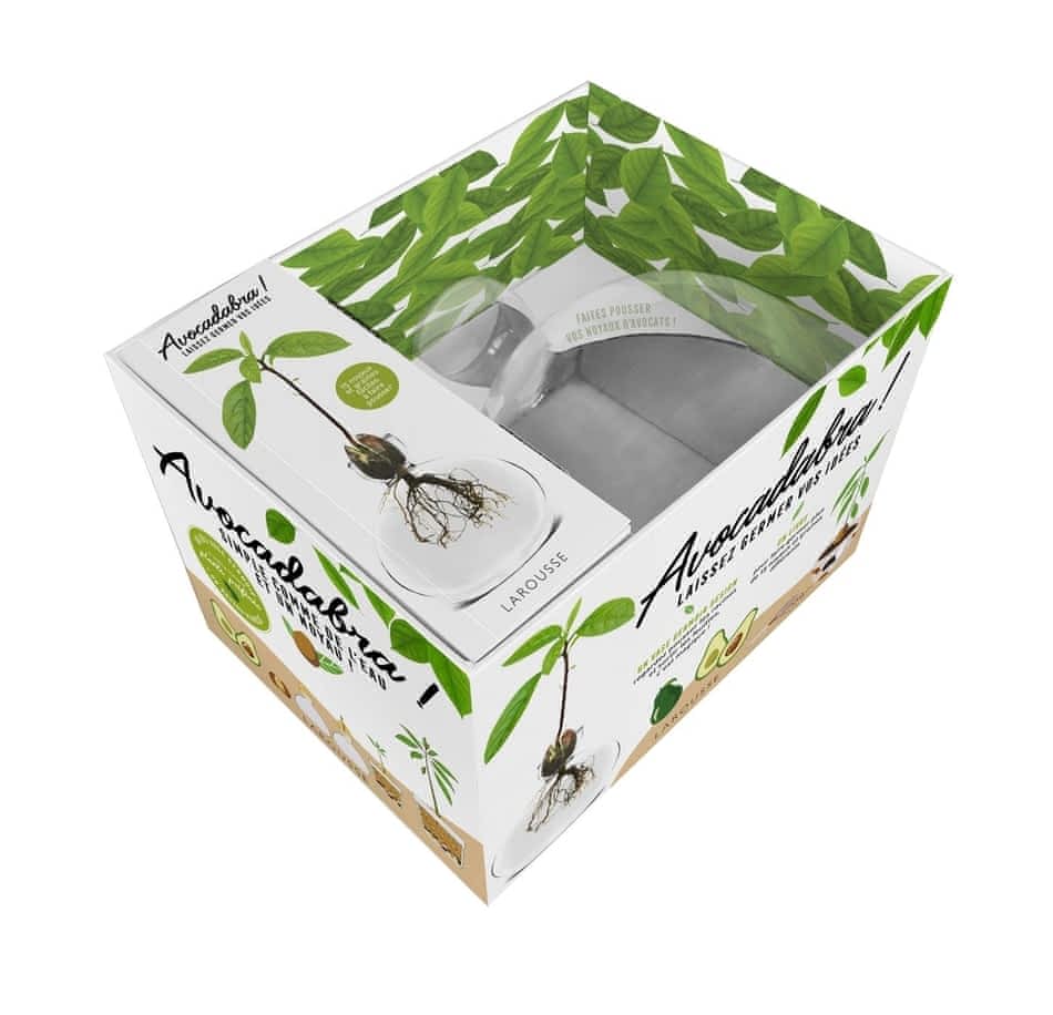 Avocadabra ! Laissez germer vos idées  - Coffret avec un vase germoir design