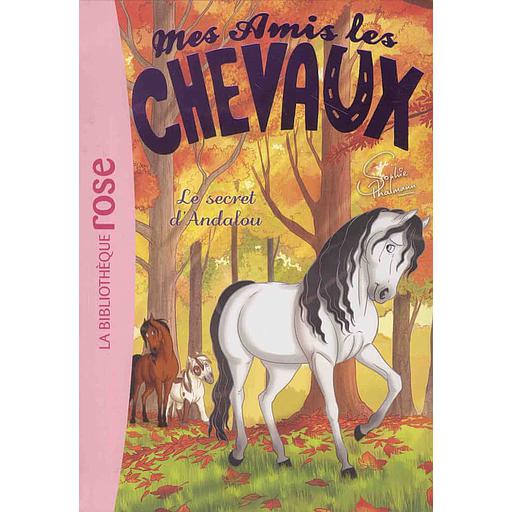Mes amis les chevaux Tome 19 - Le secret d'Andalou