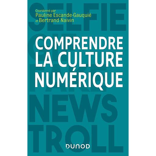 Comprendre la culture numérique