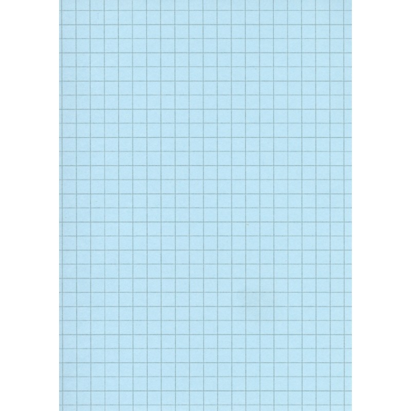 Fiche Bristol  - 12.5x 21cm - 5 x 5 - Unité
