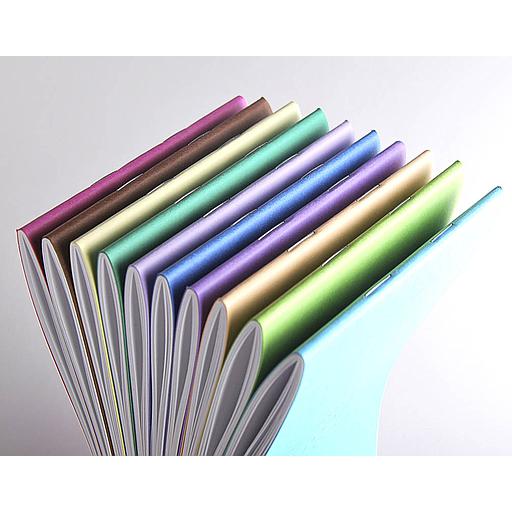 Carnet Pique 5x5 160p 21x14cm