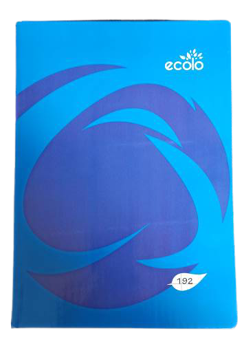 Cahier Pique 192p 21*29.7 Seyes