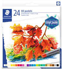 Ensemble de 24 Pastels à Huile