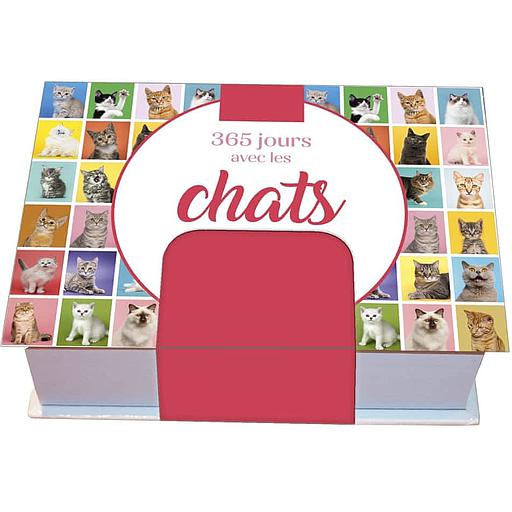 365 jours avec les chats