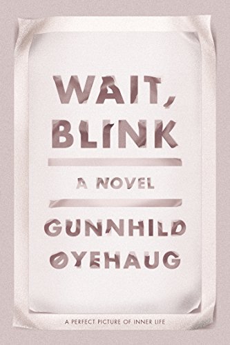Wait, Blink: A Perfect Picture of Inner Life