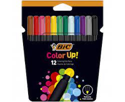 Feutre de Coloriage Intensity de 12 Couleurs BIC Réf 978004/9300