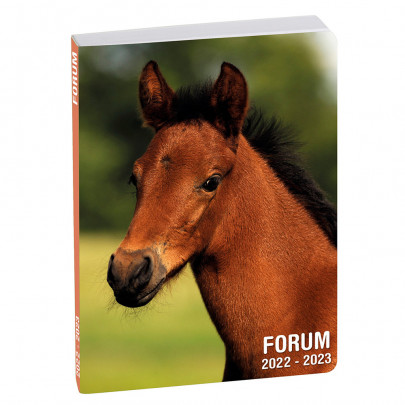 Agenda Scolaire 2022/2023