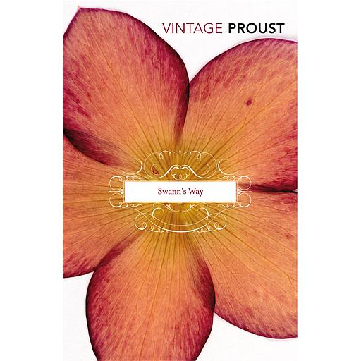 Swann's Way  - In search of Lost Time vol.1