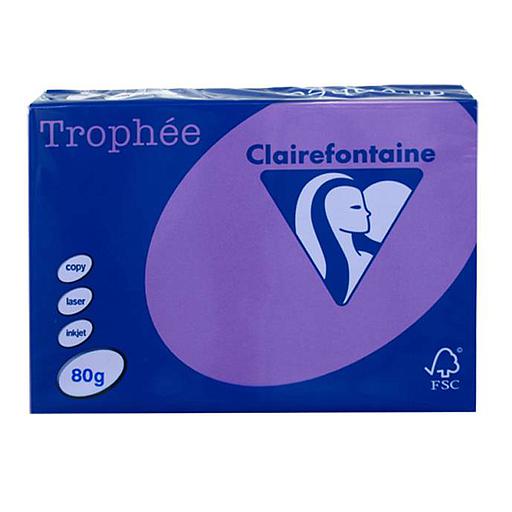 Papier Couleur Clairefontaine Violet 1786C A4 80G