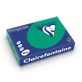 Papier Couleur Clairefontaine Vert 1783C A4 80G