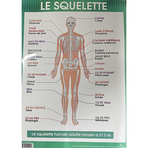 Poster "Le Squelette"