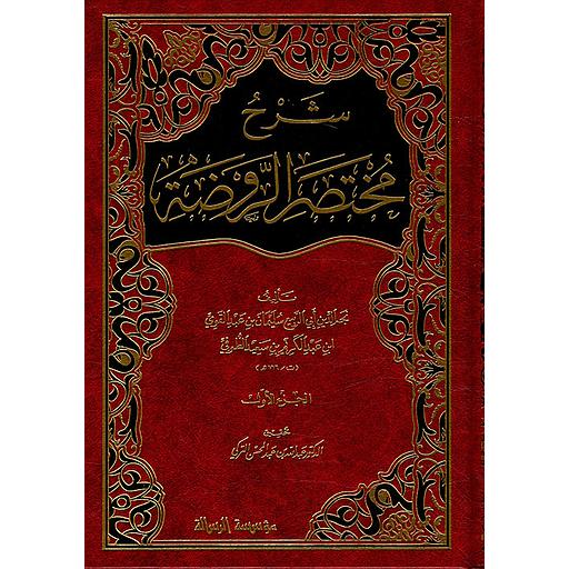 شرح مختصر الروضة 1/3