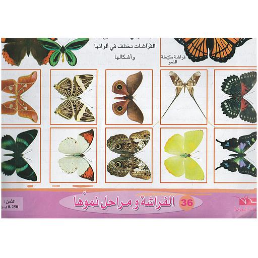 ملفات ورقية تعليمية الفراشة ومراحل نموها + موضوع