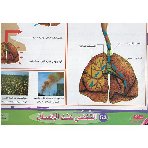 ملفات ورقية تعليمية التنفس عند الإنسان + موضوع
