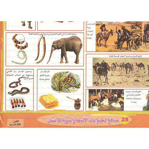 ملفات ورقية تعليمية منافع الحيوانات الأليفة والبرية للإنسان + موضوع
