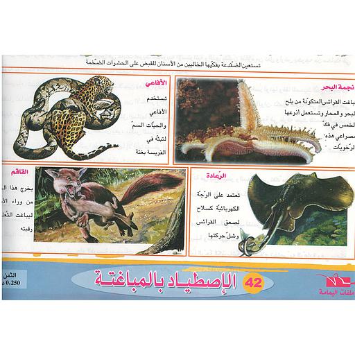 ملفات ورقية تعليمية الإصطياد بالمباغتة + موضوع