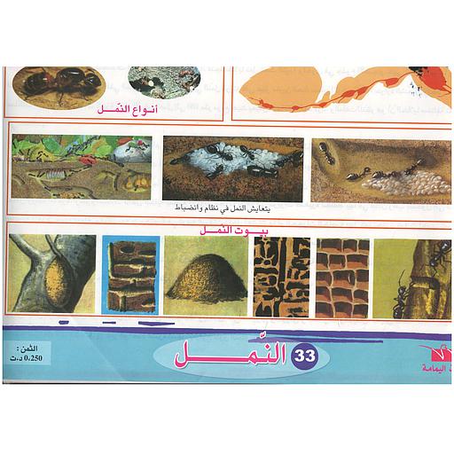 ملفات ورقية تعليمية النمل + موضوع