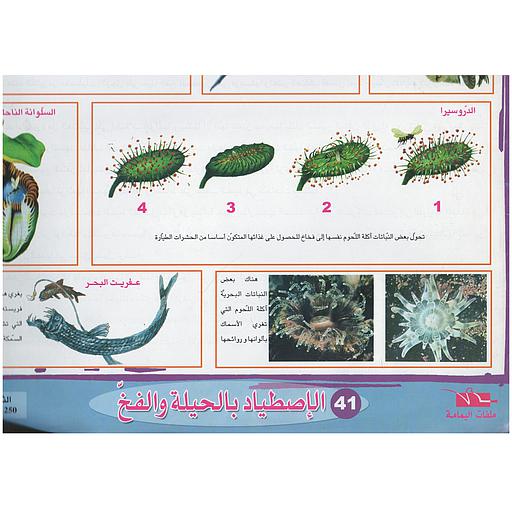 ملفات ورقية تعليمية الإصطياد بالحيلة والفخ + موضوع