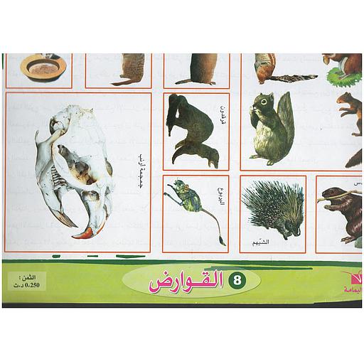 ملفات ورقية تعليمية القوارض + موضوع