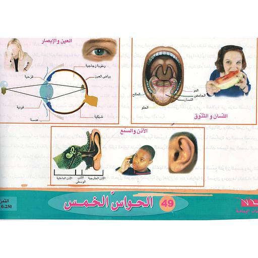 ملفات ورقية الحواس الخمس