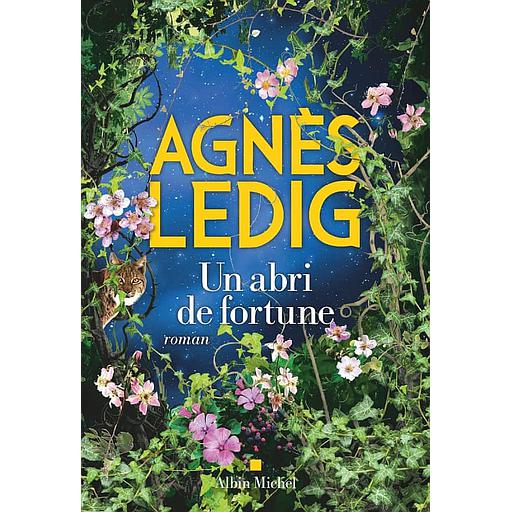 Un abri de fortune