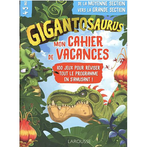 Mon cahier de vacances de la moyenne section vers la grande section