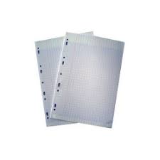 Feuille double Blanches 21*29.7 96P