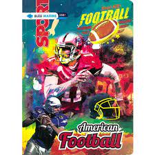 Cahier Brochure 384P 21*29.7 60G 5*5