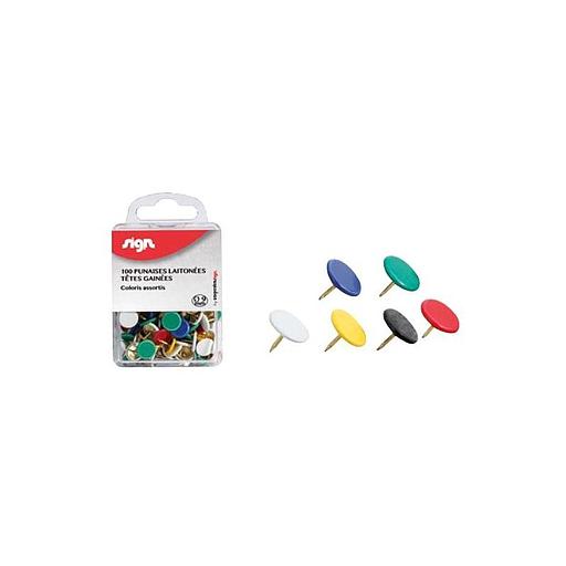 Punaise D'affichage Couleur 100 Pcs