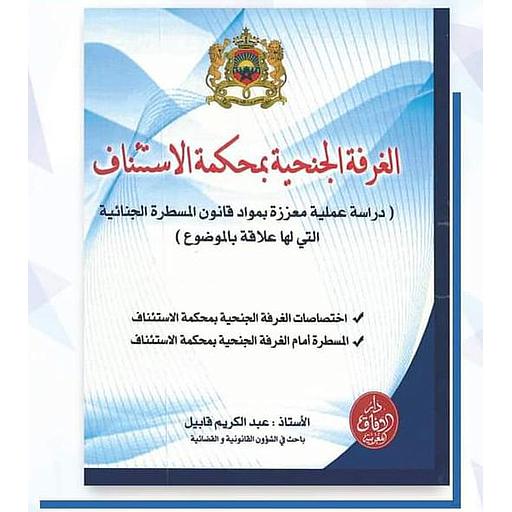 الغرفة الجنحية بمحكمة الإستئناف