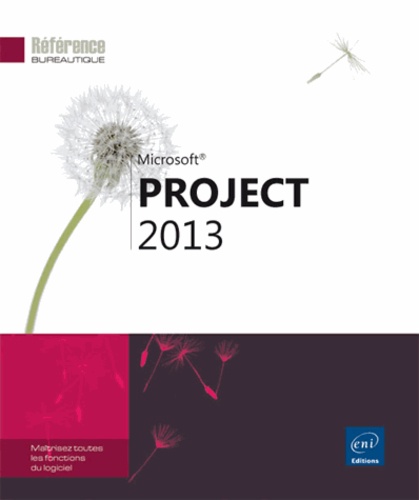 Project 2013